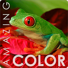 Optoma HD26 1080p 3D DLP Home Theater Projector