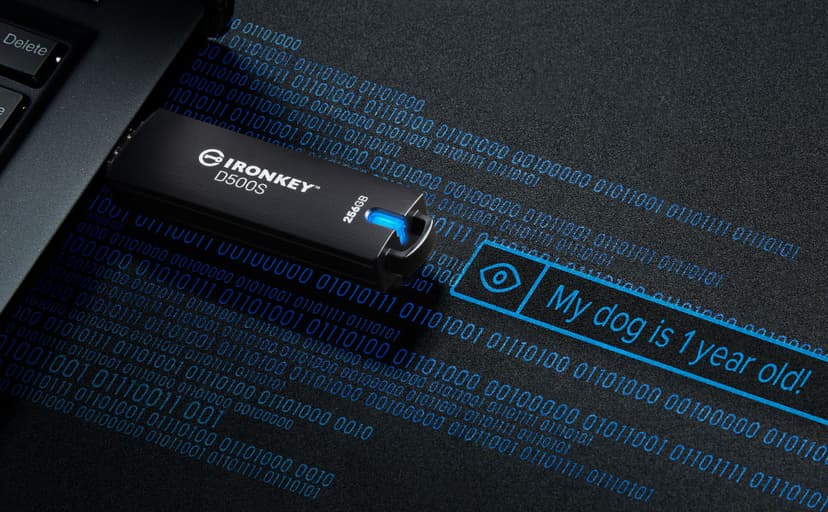 Kingston Ironkey D500S 128GB Encrypted Flash Drive | Dual Hidden Partition | FIPS 140-3 Level 3 | XTS-AES 256-bit | BadUSB and Brute Force Protection | Multi-Pin Option | IKD500S/128GB