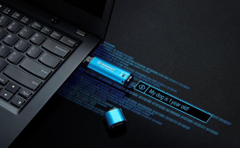 Kingston IronKey Vault Privacy 50 128GB Encrypted USB | FIPS 197 | AES-256bit | BadUSB Attack Protection | Multi-Password Options | IKVP50/128GB