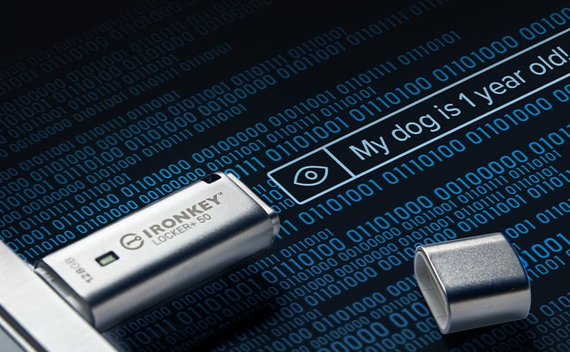 Kingston Ironkey Locker+ 50 64GB Encrypted USB Flash Drive | USB 3.2 Gen 1 | XTS-AES Protection & TAA Compliant | Multi-Password Security Options | Automatic Cloud Backup | Metal Casing | IKLP50/64GB