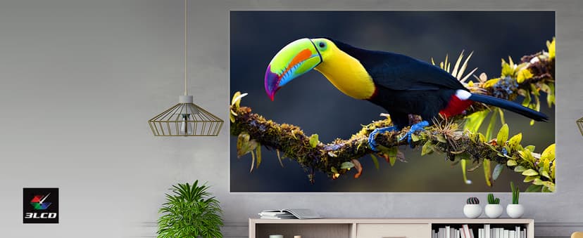 Epson EpiqVision Flex CO-FH02 Full HD 1080p Smart Streaming Portable Projector, 3-Chip 3LCD, 3,000 Lumen Color/White Brightness, Android TV, Bluetooth, 5W Speaker, Home Entertainment (Renewed)