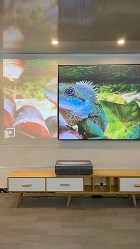 ALR Screen for UST Projector, 120 inch ALR Fixed Frame Projector Screen Wall Mount 16:9 8K/4K 3D, Grey Projection Screen, 0.39 inch Ultra-Narrow Bezel for Movies and Games