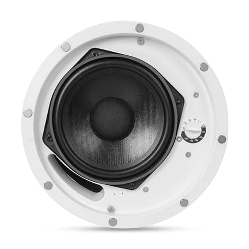 Sound Town Commercial Restaurant Audio Set, with One 6-Zone 70V/100V Amplifier with Bluetooth, 12 x Two-Way 6.5-Inch in-Ceiling Speakers, Two Dual 8-Inch Subwoofers (P18X12C6N2S28)