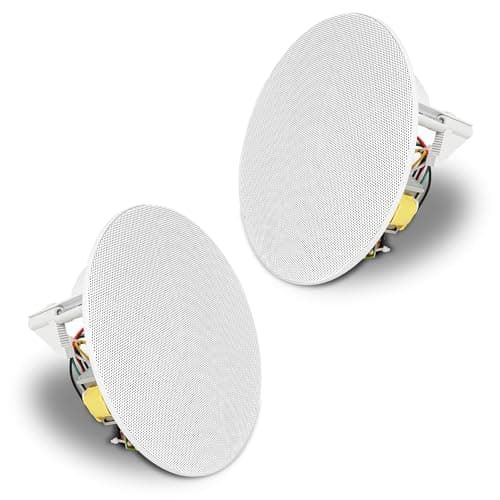 Sound Town Commercial Restaurant Audio Set, with One 6-Zone 70V/100V Amplifier with Bluetooth, 12 x Two-Way 6.5-Inch in-Ceiling Speakers, Two Dual 8-Inch Subwoofers (P18X12C6N2S28)