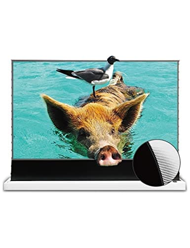 Top 5 Best UST Projector Screens for Sale in 2025: Reviews, Specs, Prices
