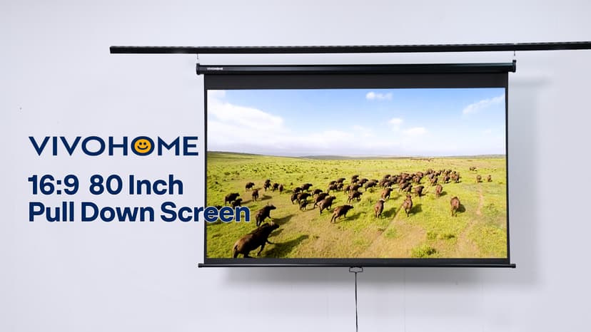 VIVOHOME Projector Screen Pull Down, 16:9 80 Inch Retractable Projection Screen, HD 4K Manual Pull Movie Screen for Home Theater, Cinema, Office (70x40 Inch White)