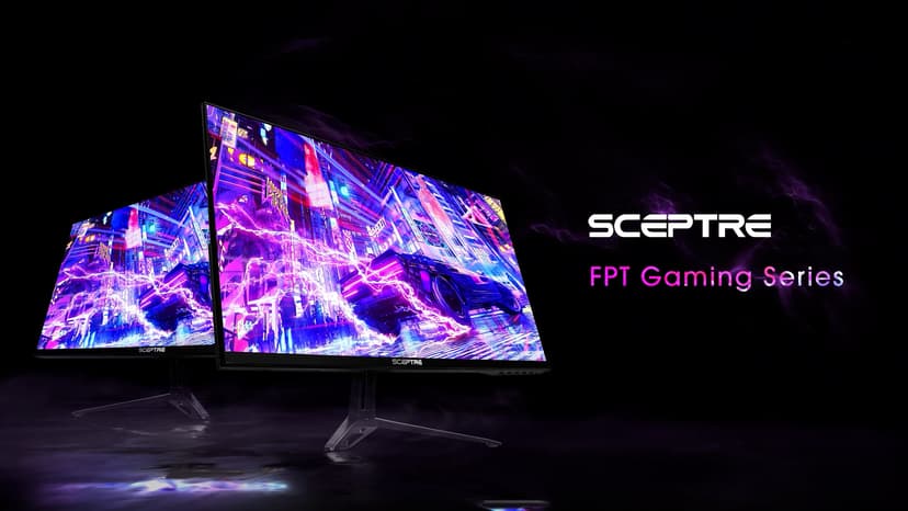 Sceptre IPS 24” Gaming Monitor 165Hz 144Hz Full HD (1920 x 1080) FreeSync Eye Care FPS RTS DisplayPort HDMI Build-in Speakers, Machine Black 2020 (E248B-FPT168),IPS 24" 165Hz