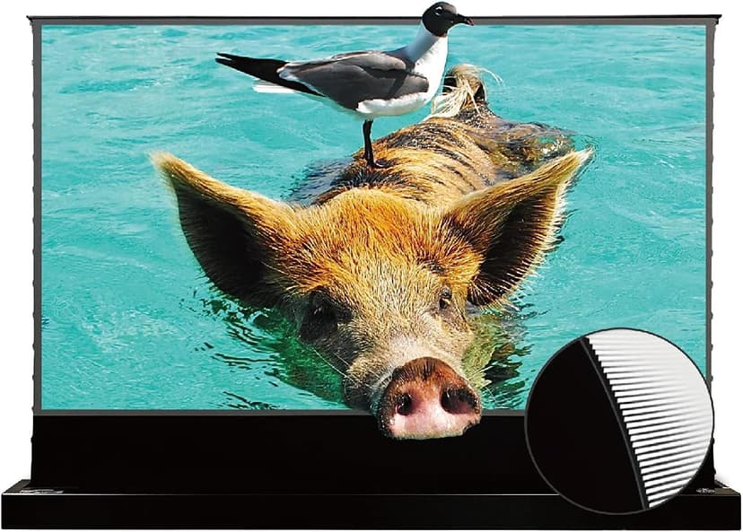 Vivid Storm Since 2004-Projection Screen S PRO Portable Folding Stand Indoor Tension ALR Floor Screen, Home Cinema Movie,Compatible with 4K/3D/HD Ultra Short Throw Laser Projector,VSDSTUST100H