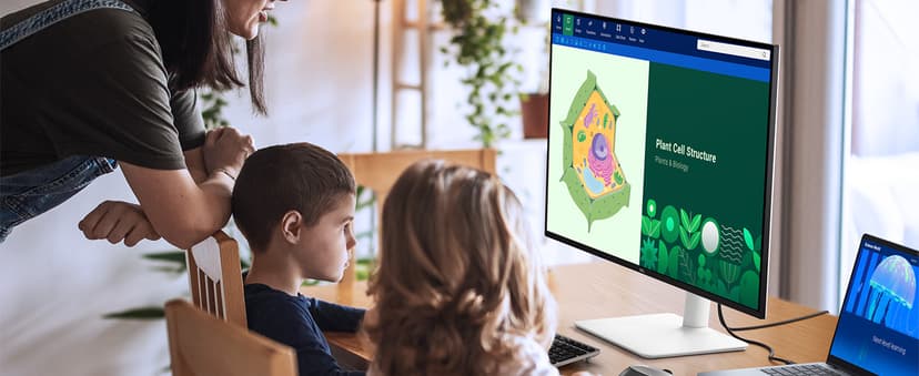 Dell 32 Plus 4K Monitor - S3225QS - 31.5-inch 4K (3840 x 2160) up to 120Hz 16:9 Display, VA Panel, AMD FreeSync Premium, 99% sRGB, 95% DCI-P3, 1500:1 Contrast Ratio, Comfortview Plus - Ash White