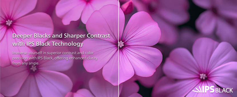 Philips Brilliance 27E2F7903 27" 4K UHD IPS Black Display, Thunderbolt, PD 96W, Height Adjustable, Daisy Chain, Built in Speakers, MacBook/PC Compatible, 4-Year Advance Replacement