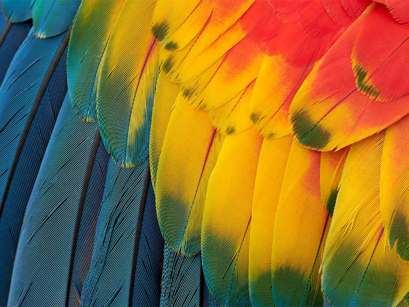 Dell 32 Plus 4K Monitor - S3225QS - 31.5-inch 4K (3840 x 2160) up to 120Hz 16:9 Display, VA Panel, AMD FreeSync Premium, 99% sRGB, 95% DCI-P3, 1500:1 Contrast Ratio, Comfortview Plus - Ash White