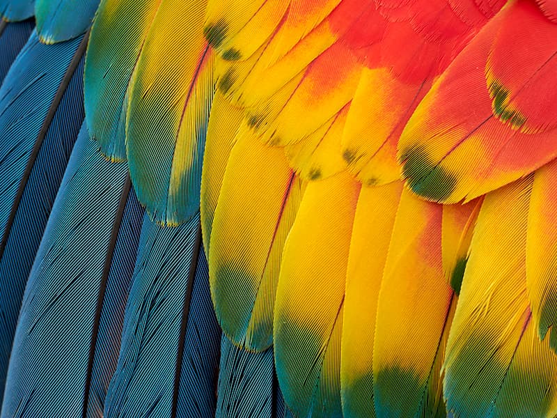 Dell 34 Plus USB-C Curved Monitor - S3425DW - 34-inch (3440 x 1440) up to 120 Hz 21:9 Display, VA Panel, AMD FreeSync Premium, 99% sRGB, 95% DCI-P3, Integrated Speakers, 3000:1 Contrast Ratio