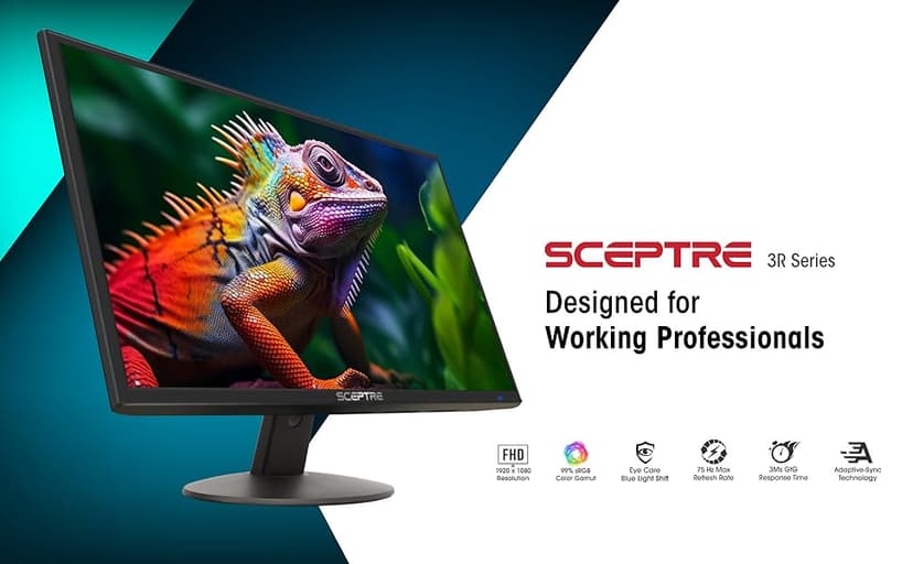 Sceptre 24-inch Professional Thin 1080p LED Monitor 99% sRGB 2x HDMI VGA Build-in Speakers, Machine Black (E248W-19203R Series)
