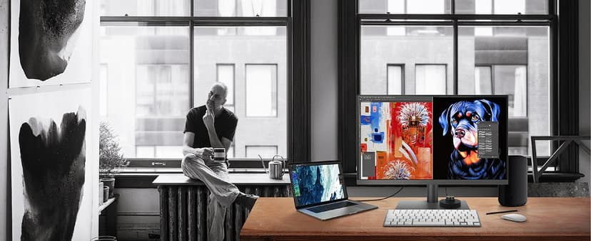 BenQ PD3205U Mac-Ready Monitor 32" 4K UHD | 99% Rec.709 & sRGB | IPS | DeltaE ≤3 | ICC Sync | Calibration Report | AQCOLOR | Uniformity | HotKey Puck | Ergonomic | DisplayPort | USB-C (65W) | USB Hub