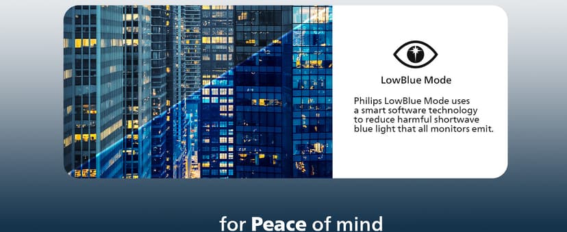 Philips 221V8LB 22 inch Class Thin Full HD (1920 x 1080) Monitor, 100Hz Refresh Rate, VESA, HDMI x1, VGA x1, LowBlue Mode, Adaptive Sync, 4 Year Advance Replacement Warranty