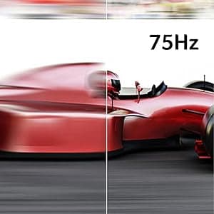 Acer K202Q bi 19.5-inch Professional HD+ (1600 x 900) Monitor, 75Hz Refresh Rate, VESA Mountable, VisionCare Technologies, BlueLight Filter & Flickerless Technology (HDMI Port & VGA Port),Black