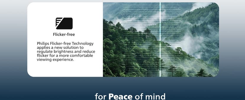 Philips 221V8LB 22 inch Class Thin Full HD (1920 x 1080) Monitor, 100Hz Refresh Rate, VESA, HDMI x1, VGA x1, LowBlue Mode, Adaptive Sync, 4 Year Advance Replacement Warranty